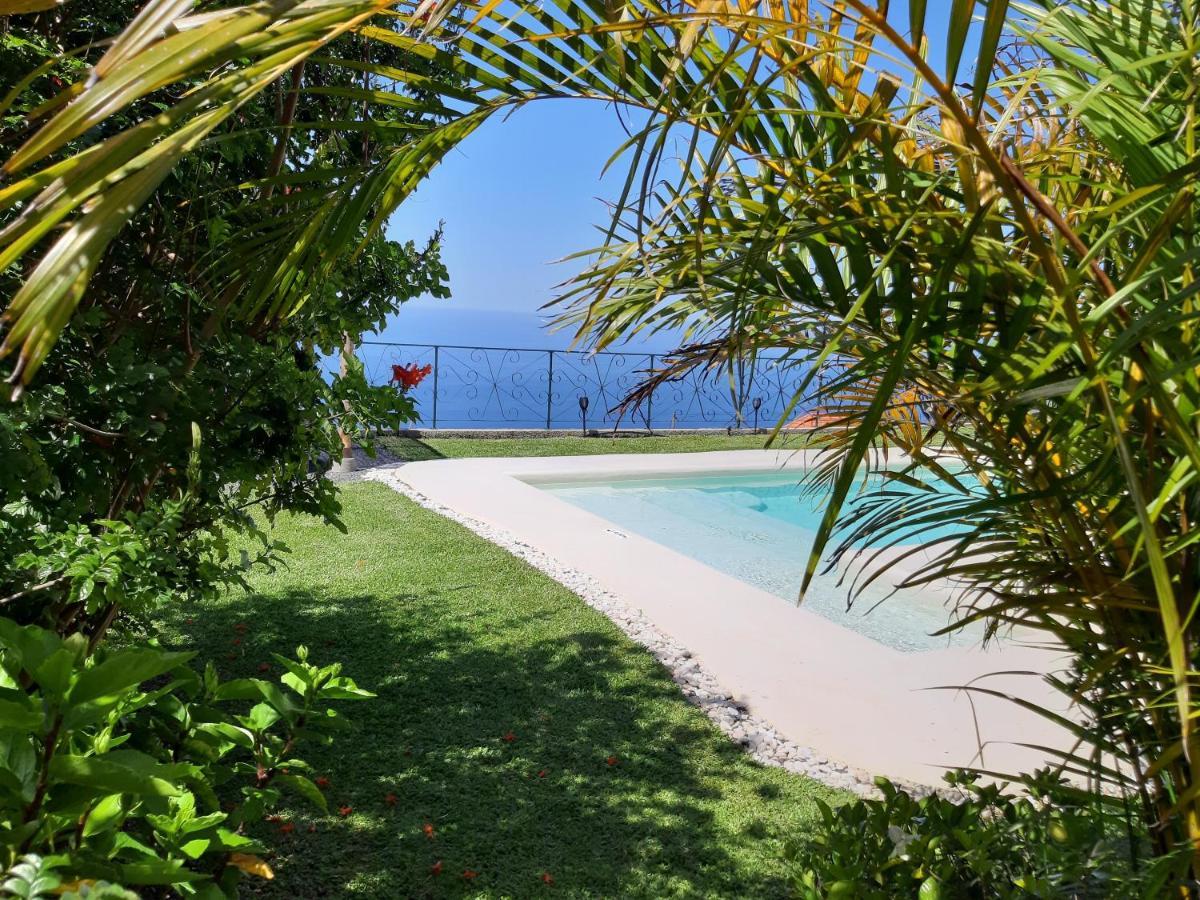 Casa Velha D Fernando E Casa Avo Augusta Hotell Ribeira Brava Eksteriør bilde