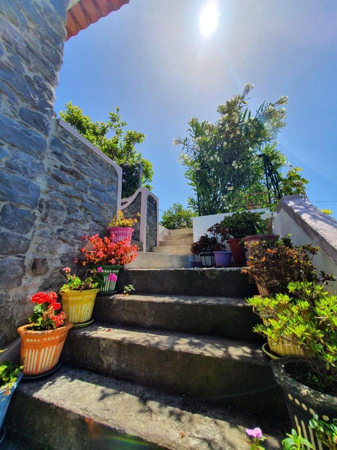Casa Velha D Fernando E Casa Avo Augusta Hotell Ribeira Brava Eksteriør bilde