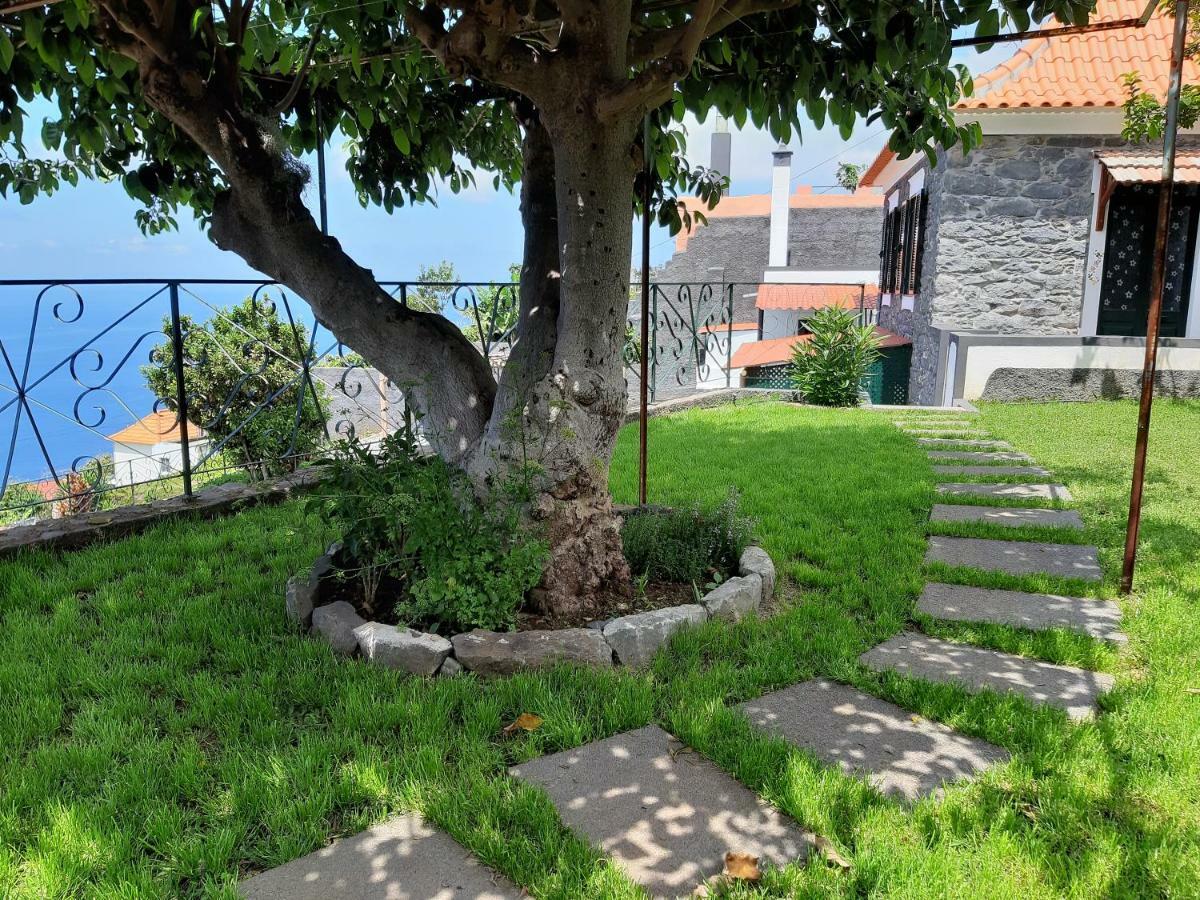 Casa Velha D Fernando E Casa Avo Augusta Hotell Ribeira Brava Eksteriør bilde