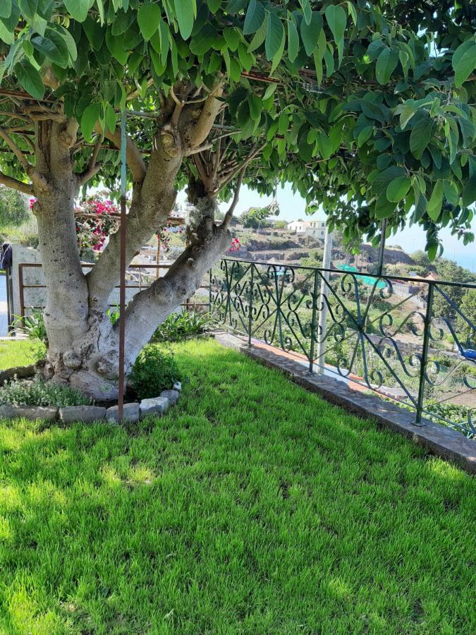 Casa Velha D Fernando E Casa Avo Augusta Hotell Ribeira Brava Eksteriør bilde